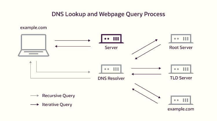 DNS Workflow